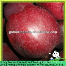 China fresca manzana roja deliciosa